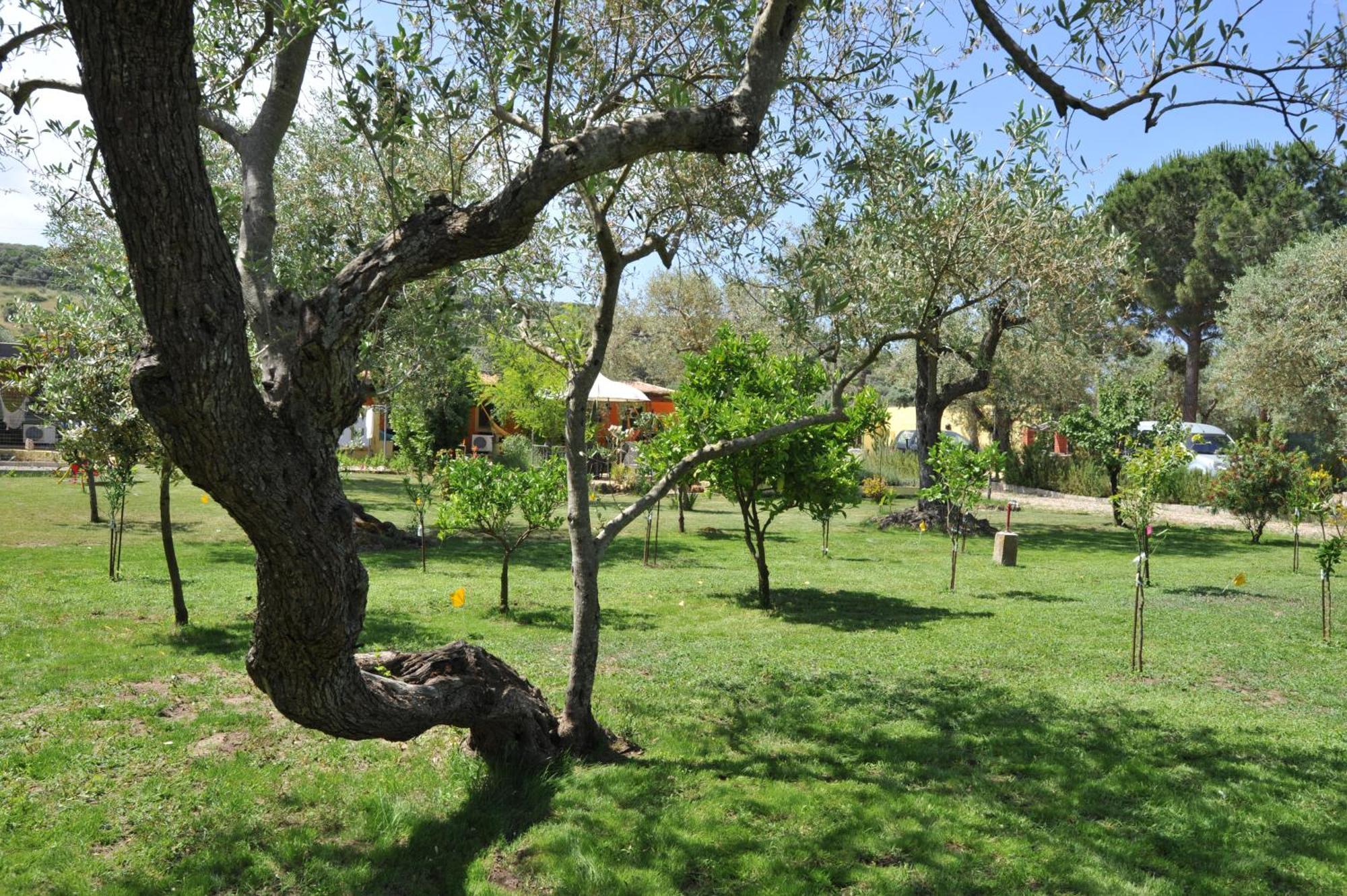 אלגהרו Butterfly House Bed & Breakfast מראה חיצוני תמונה